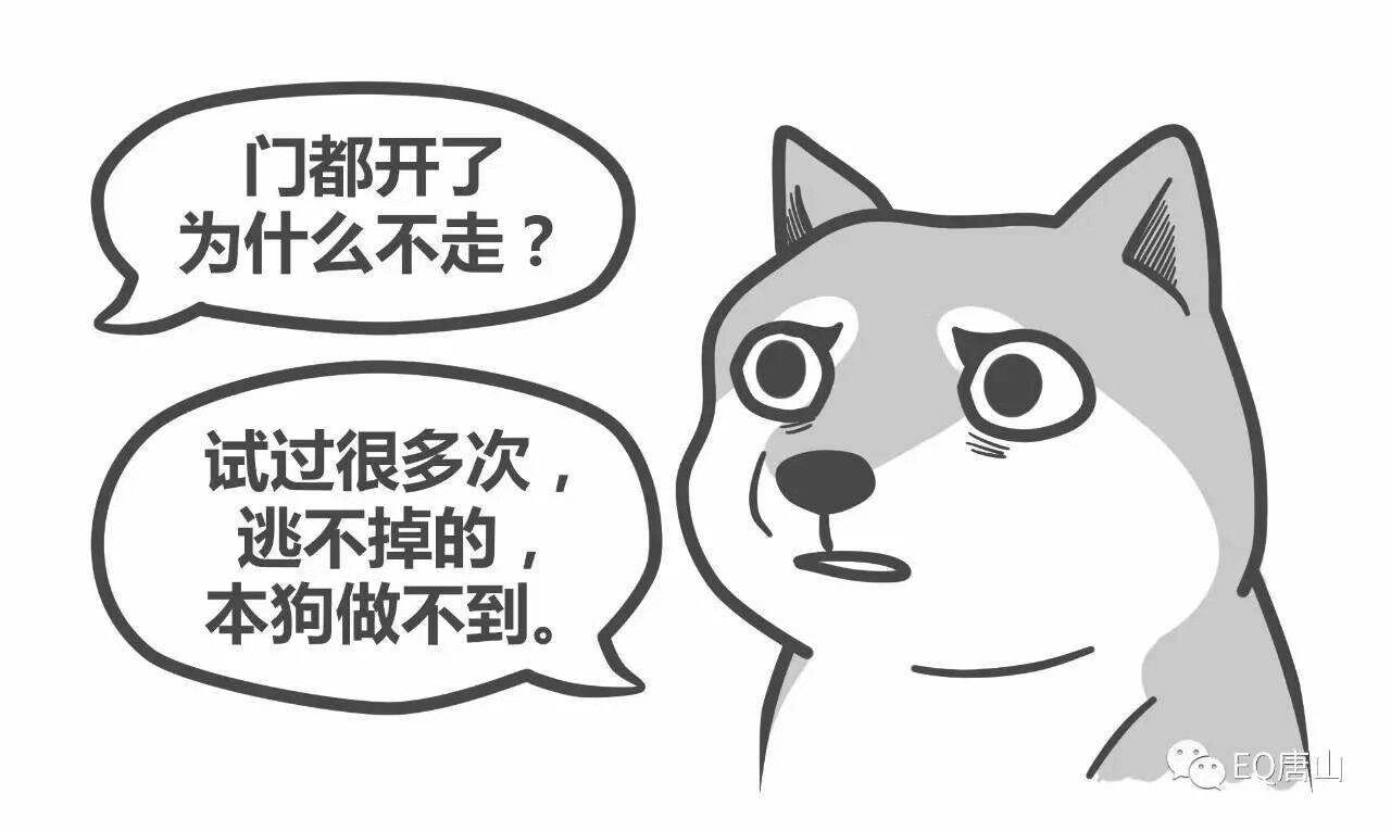 老虎机app