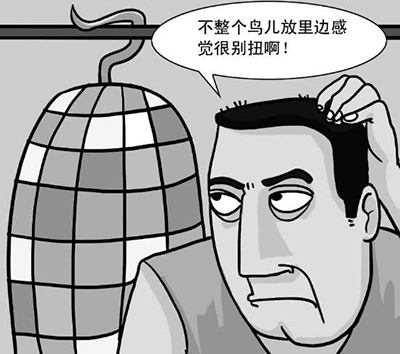 老虎机app